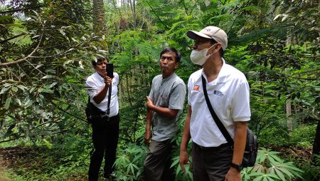 Pelatihan Off Session Durian Dinas Tanaman Pangan dan Hortikultura Prov Kalsel Oktober 2022