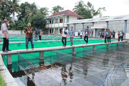 Pelatihan Pengembangan SDM materi Budidaya Ikan Air Tawar Masyarakat atau kelompok Pembudidaya Ikan Kab PPU Desember 2023